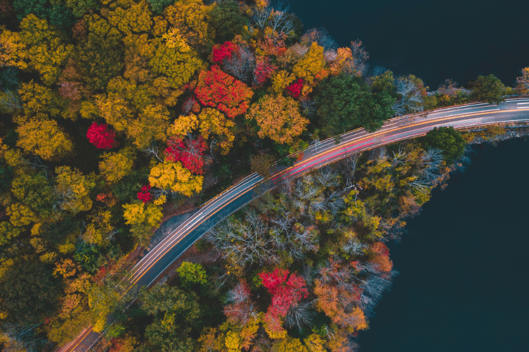 Blue Ridge Parkway