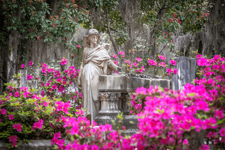 Bonaventure Cemetery