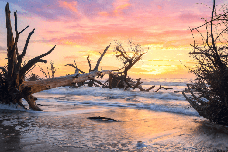 Boneyard Beach