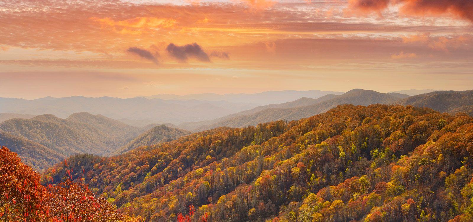 Cabins near Great Smoky Mountains