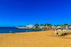 Canary Islands destination.jpg