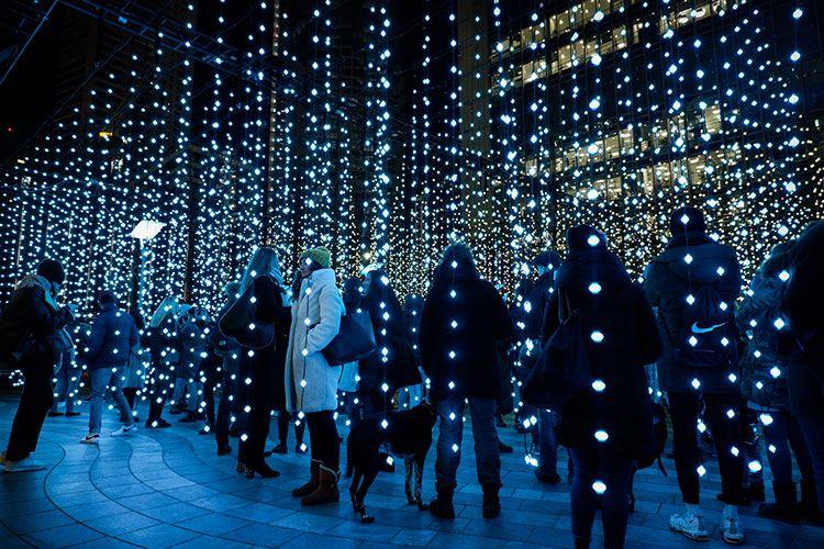 Canary Wharf Winter Lights