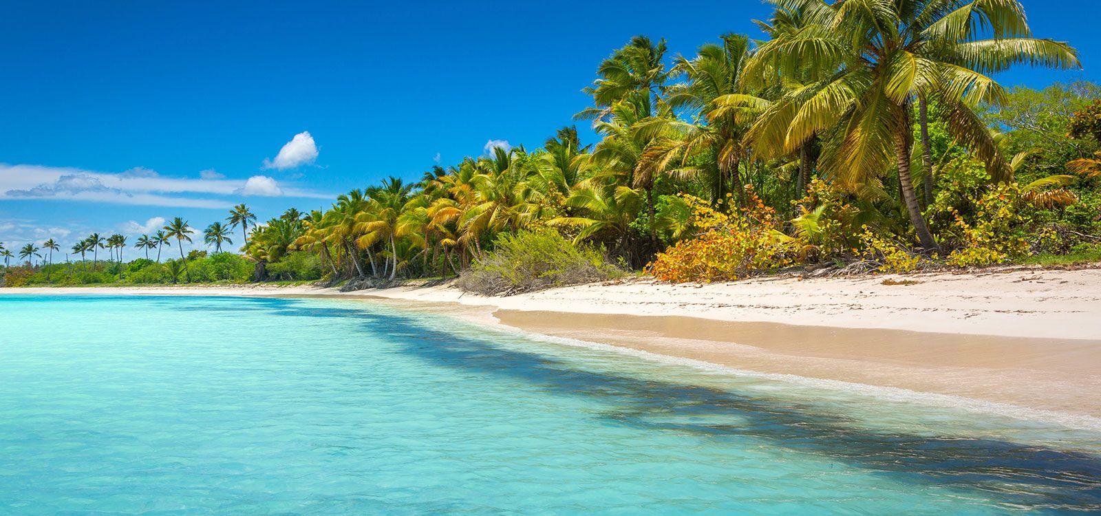 Caribbean Apartments