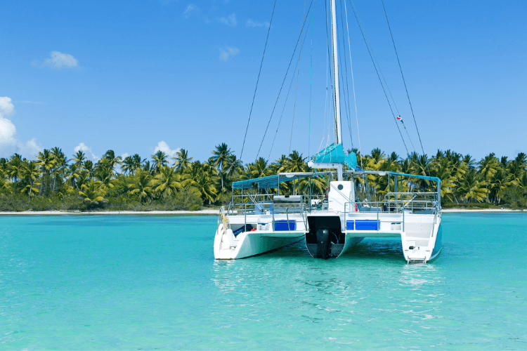 Catamaran cruise