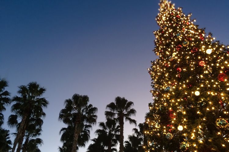 Christmas in San Diego