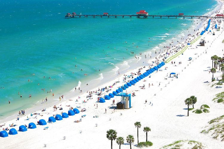 Clearwater Usa best time