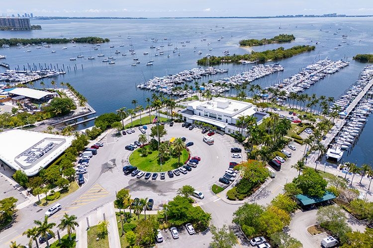 Coconut Grove