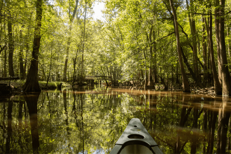 Congaree National Park