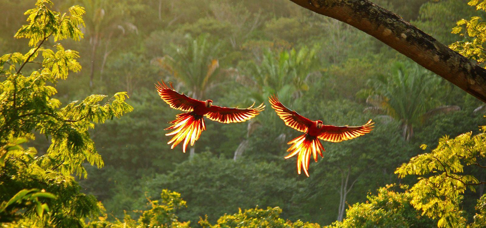 Costa Rica 5 bedroom villa