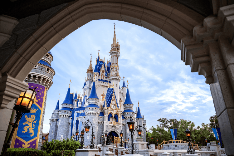 Disney World essentials