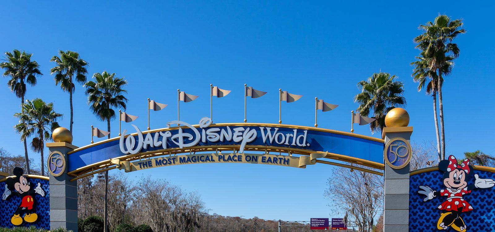 Disney World for large groups