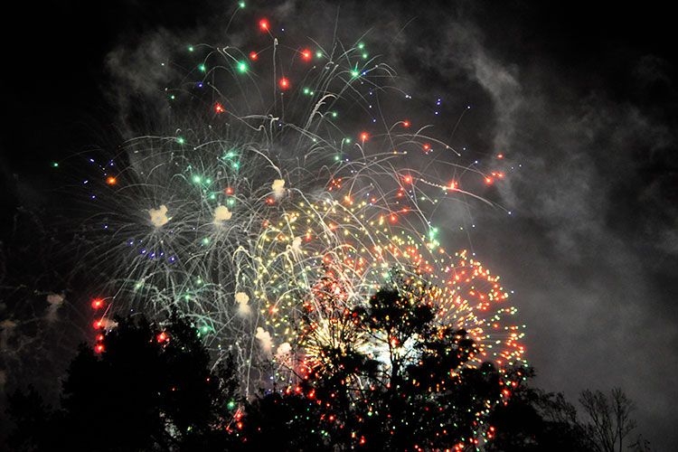 Disney World in July