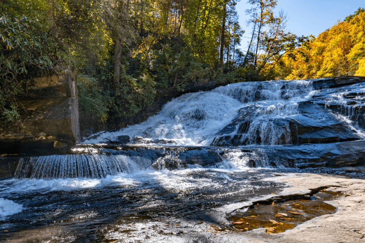 DuPont State Recreational Forest