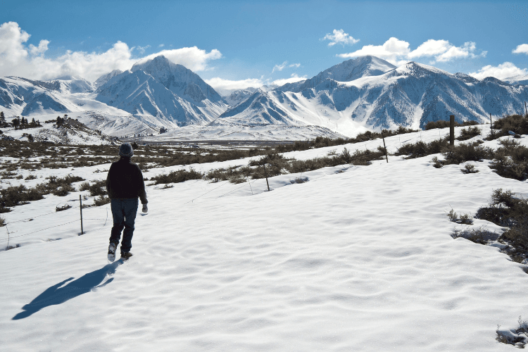 Eastern Sierra Snowshoeing.