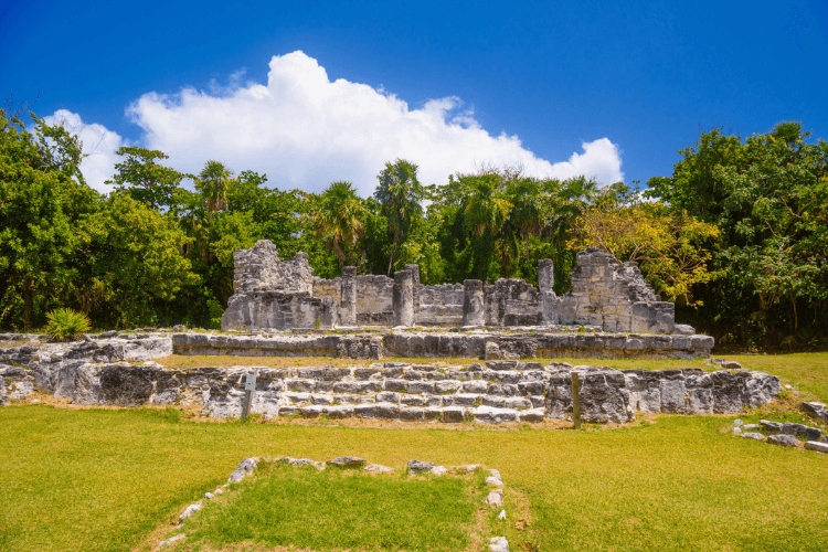 El Rey archaeological site