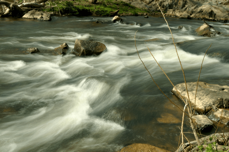 Eno River.png