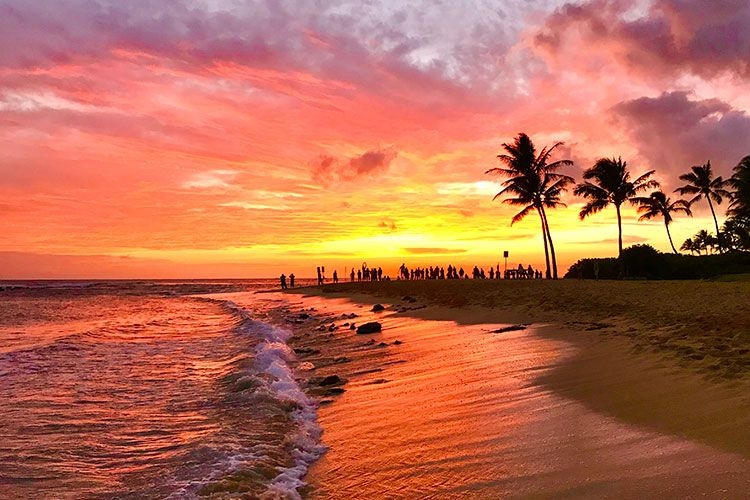 FAQ's Kauai