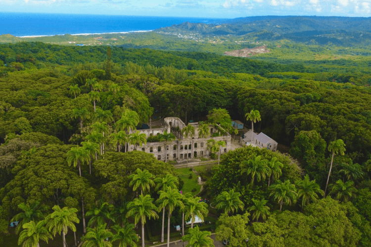 Farley Hill National Park