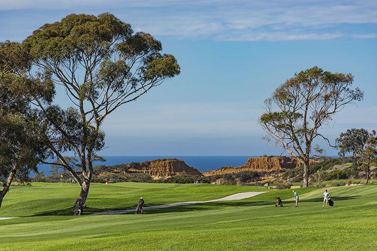 Farmers Insurance Open at Torrey Pines