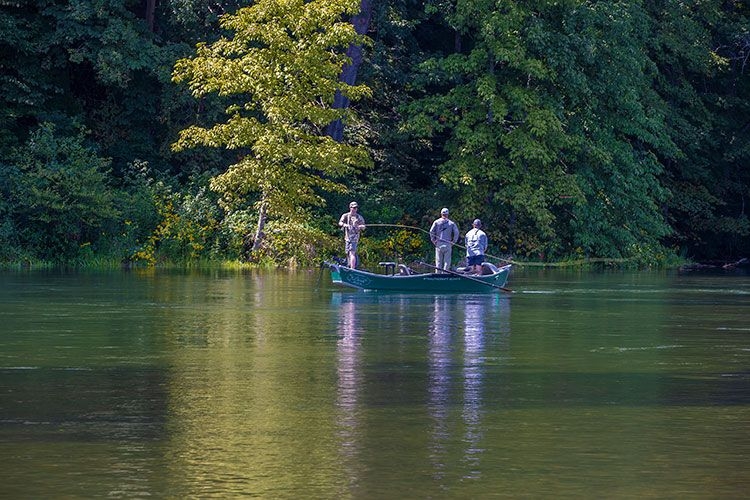 Fishing-in-mountain-streams