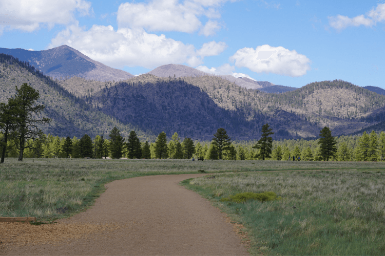 Flagstaff Urban Trail System