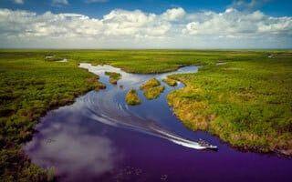 Florida vacation rentals Things to do Everglades.jpg