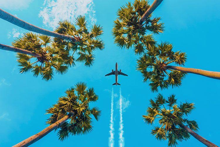 Flying to Beverly Hills