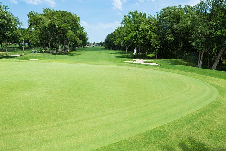 Good Good Championship