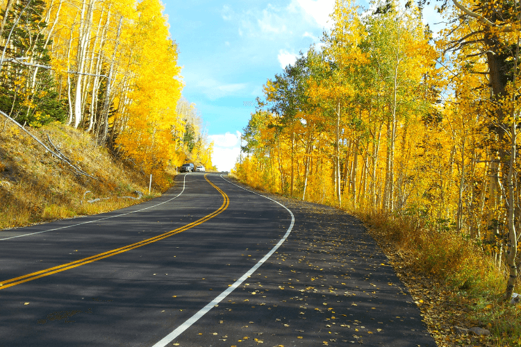 Guardsman Pass