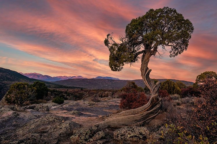 Gunnison National Park