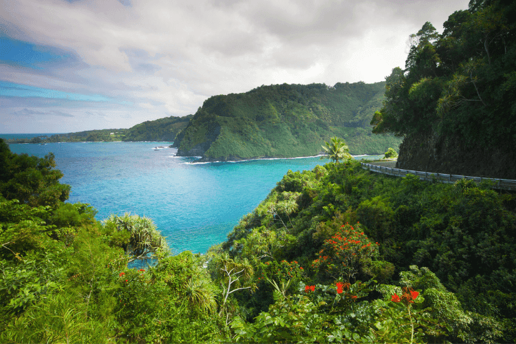 Hawaii Holidays