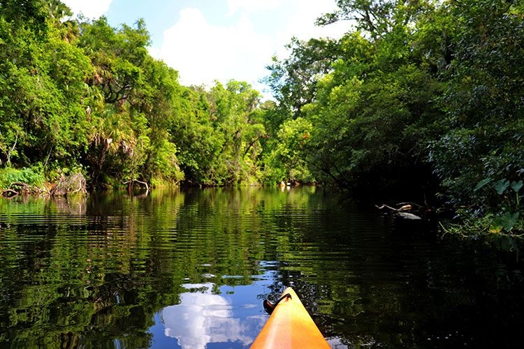 Hillsborough river kayak