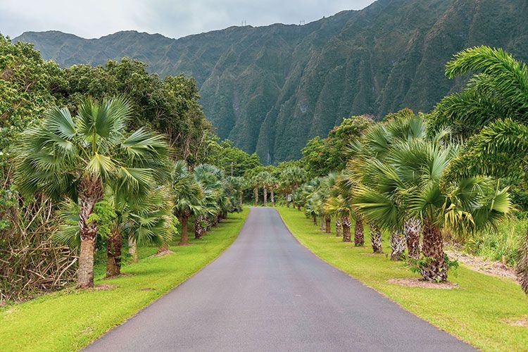Ho‘omaluhia Botanical Garden