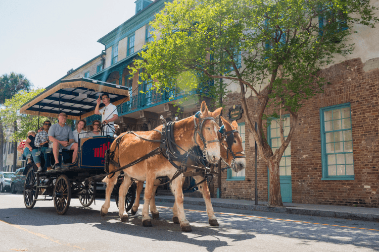 Horse Drawn Carriage Tour