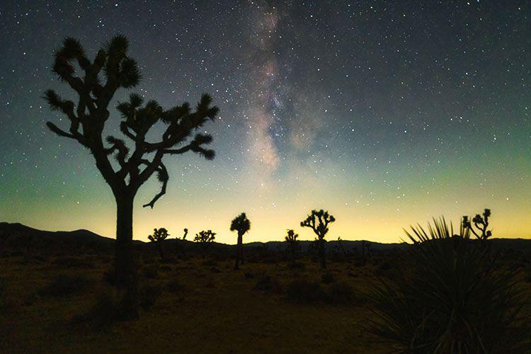 Joshua Tree best time to visit
