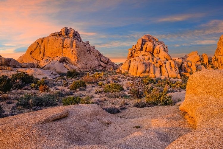 Joshua Tree hiking best time to visit