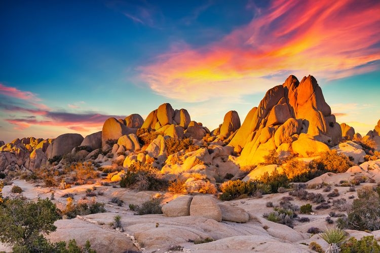 Things to do Joshua Tree National Park, hiking, Top Villas vacation rentals