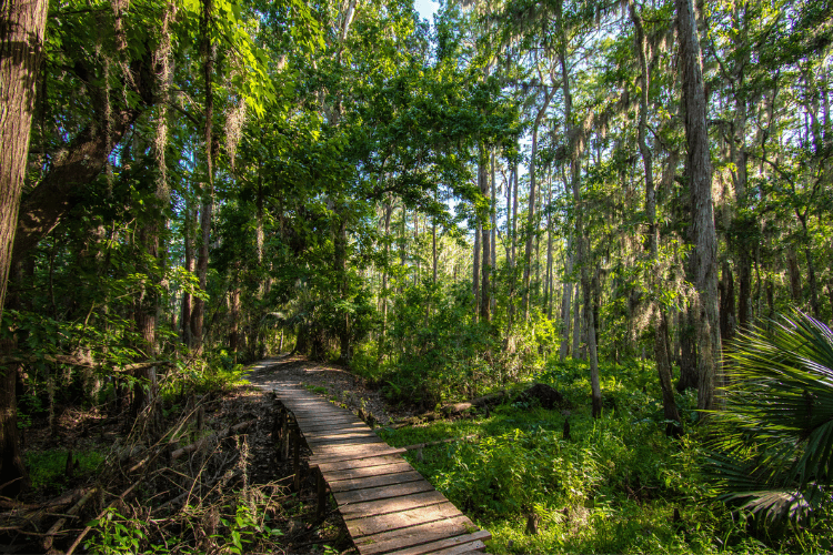 Kissimmee Loop Trail