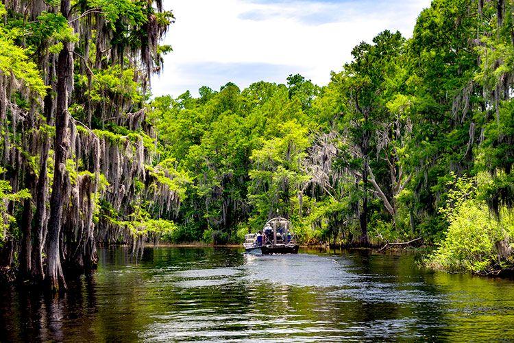 Kissimmee best time to visit