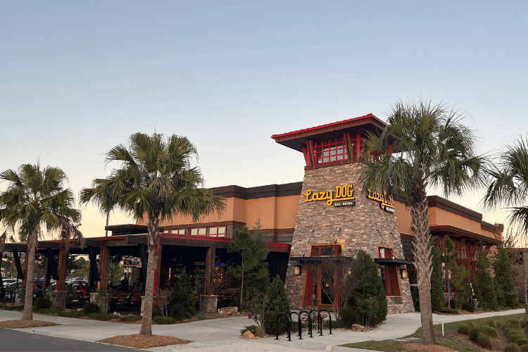 Lazy Dog Restaurant & Bar