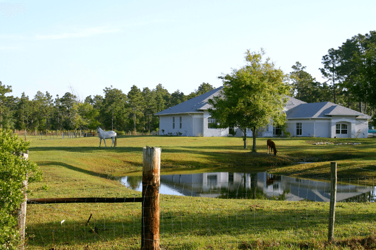 Lazy H Ranch
