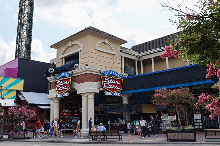 Local museums and historic attractions