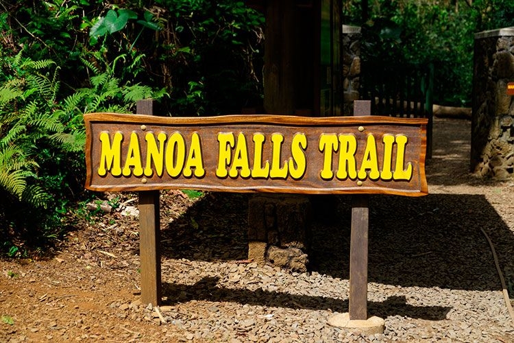Mānoa Falls Trail