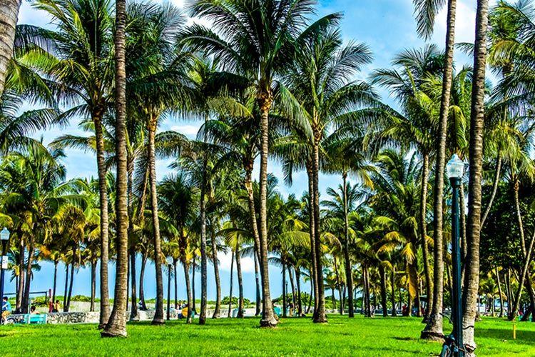 South Beach Concierge