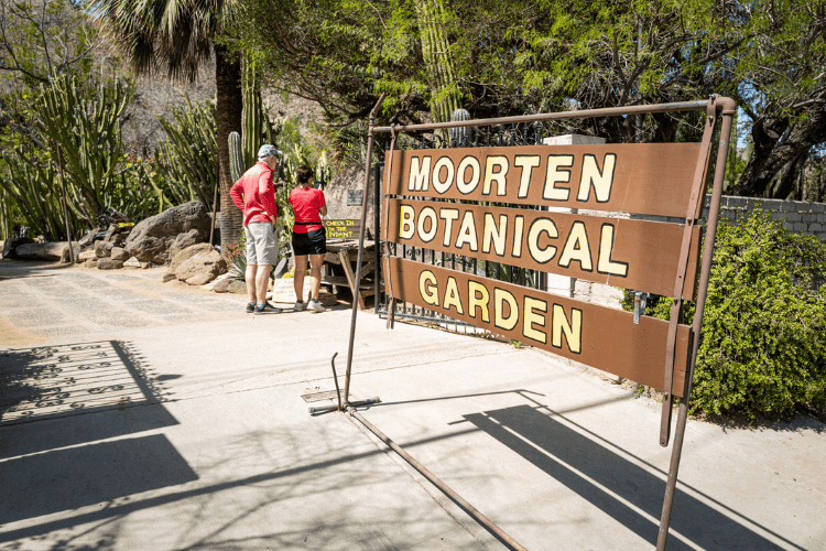 Moorten Botanical Garden