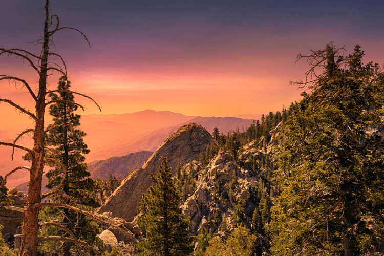 Mt. San Jacinto State Park