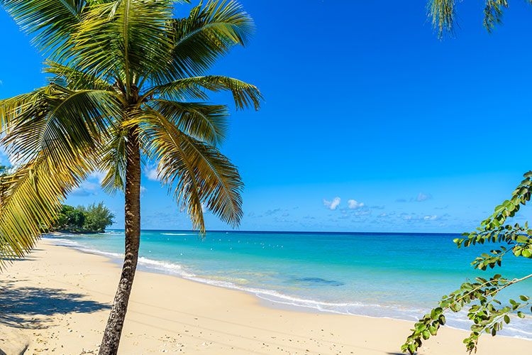 Mullins Beach
