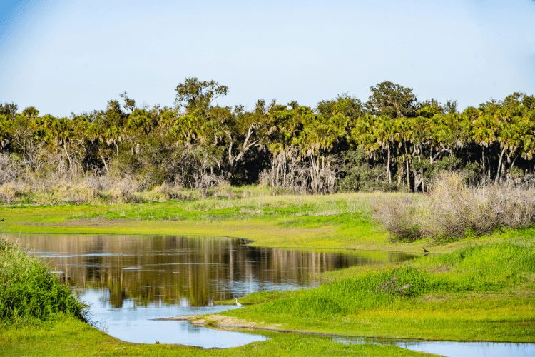Myakka River State Park