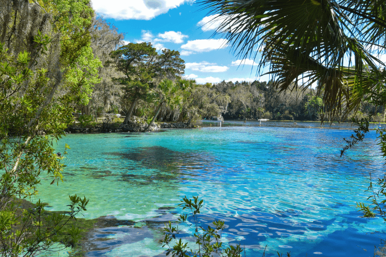 Ocala National Forest