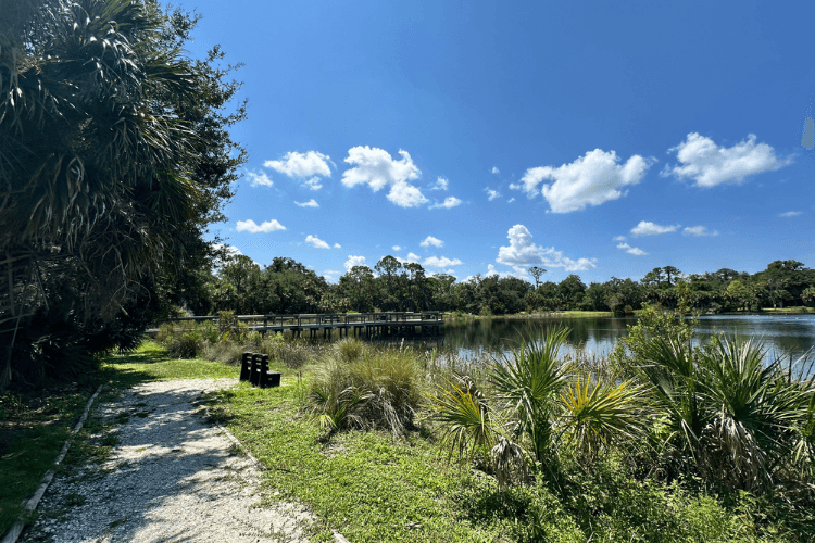 Oscar Scherer State Park